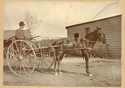 Albert Victor Chaney with Horse and Cart (date unknown) 95-027.jpg